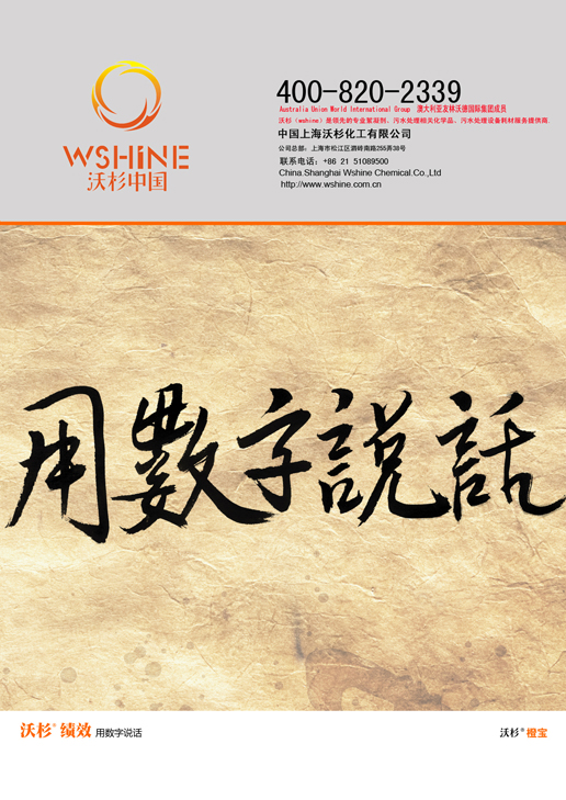 WSHINE績效