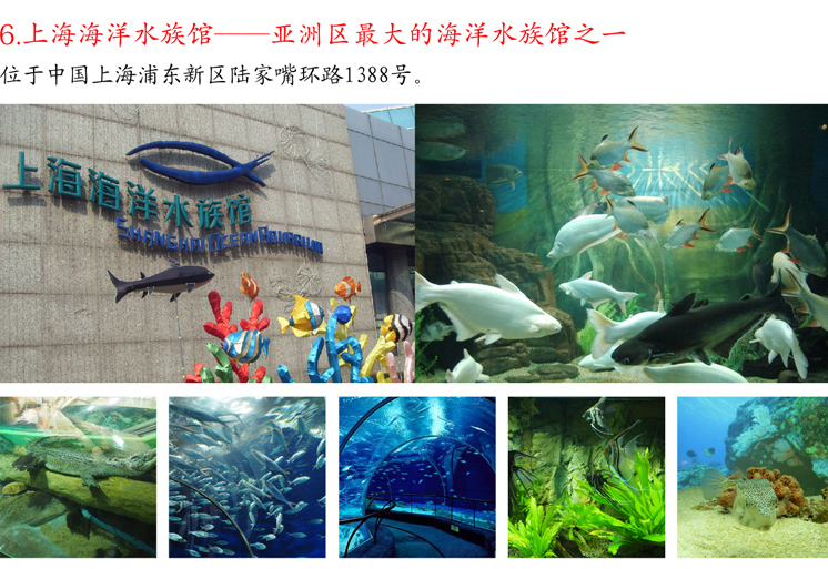 上海海洋水族館.jpg