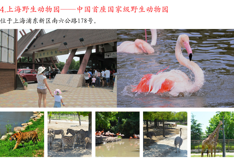 上海野生動物園官.jpg