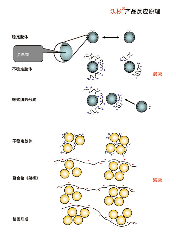1-4官網(wǎng)尺寸.jpg